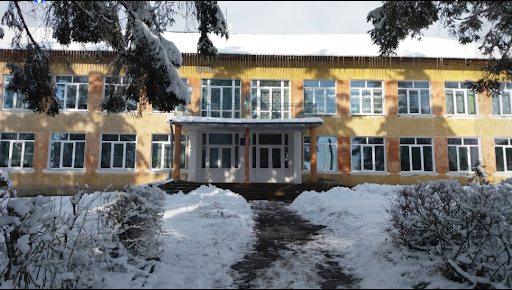 School in Vovchyshchovychi.png