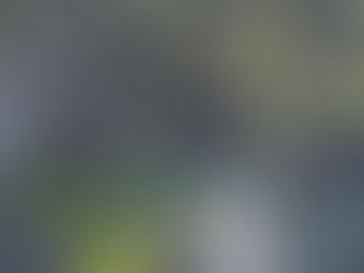 雨上がりは快晴！