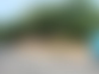 周辺整備2
