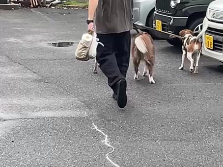 仲間が増えました