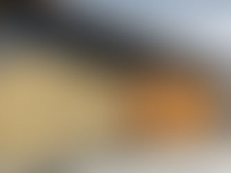 おうちだに接骨院 様