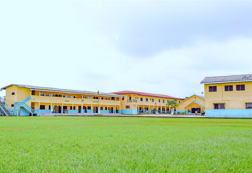 College Portrait_edited.png