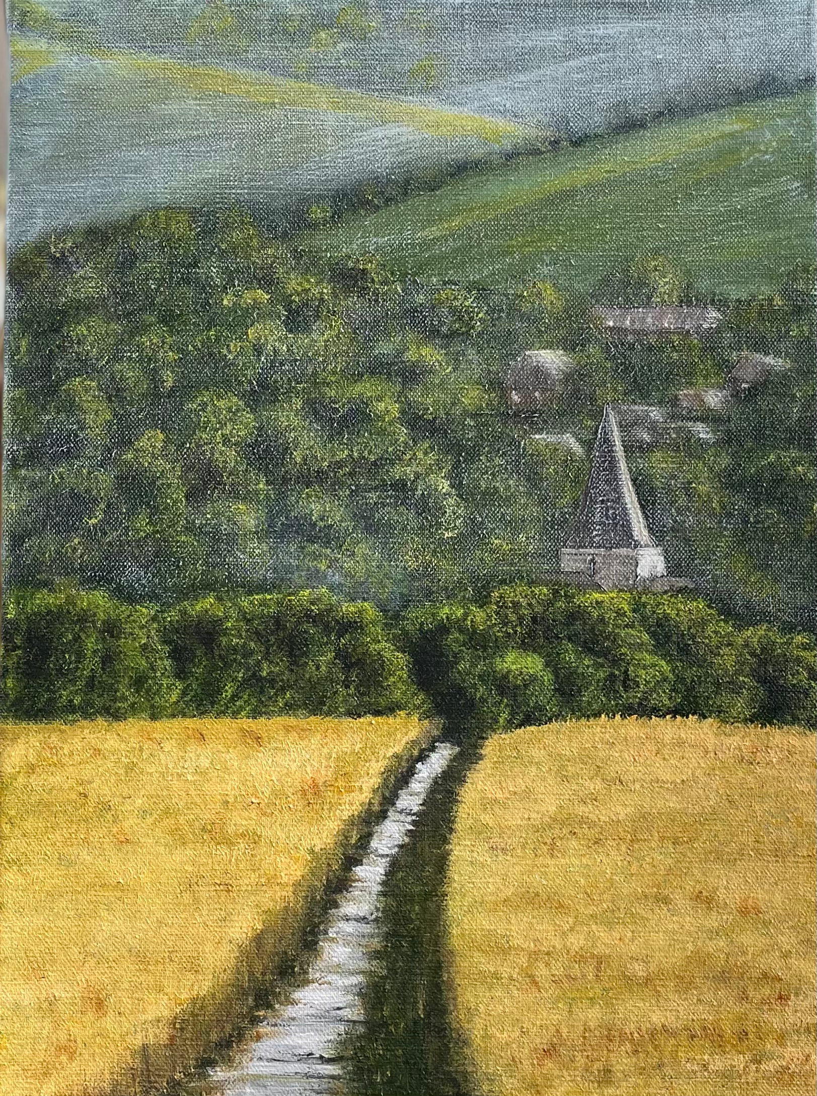 A walk across the downs