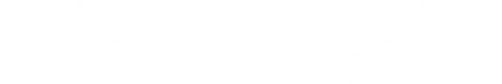 ICON_流線.png