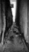 11737955_10154443794488504_2631067438868525389_n