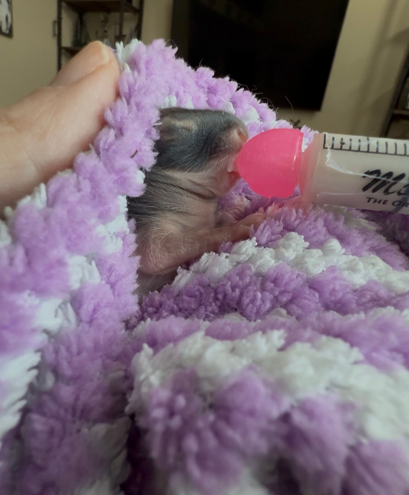 Bunny Nips by the box (110) Value pack or pick your own "Original or Ultra Soft"