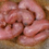 Thumbnail:  Opossum Bulb "Nip" system set 
