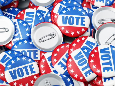 Anne: Vote 2020