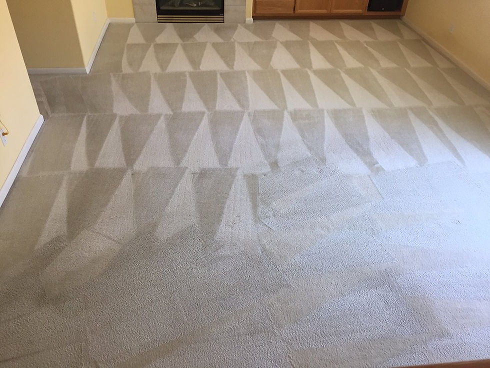 Carpet Cleaning Folsom, CA A1 Pro Carpet Care (916) 2204211