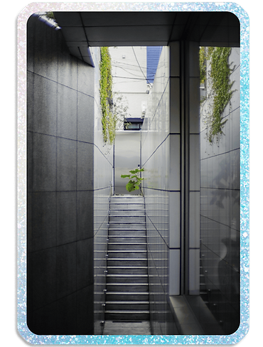 jason-leung-4Ir8QZio84A-unsplash_traite.png