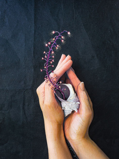 Still life (le coquillage fleuri) aquarelle, gouache et encre sur impression fine art, 30 x 40 cm,2022.