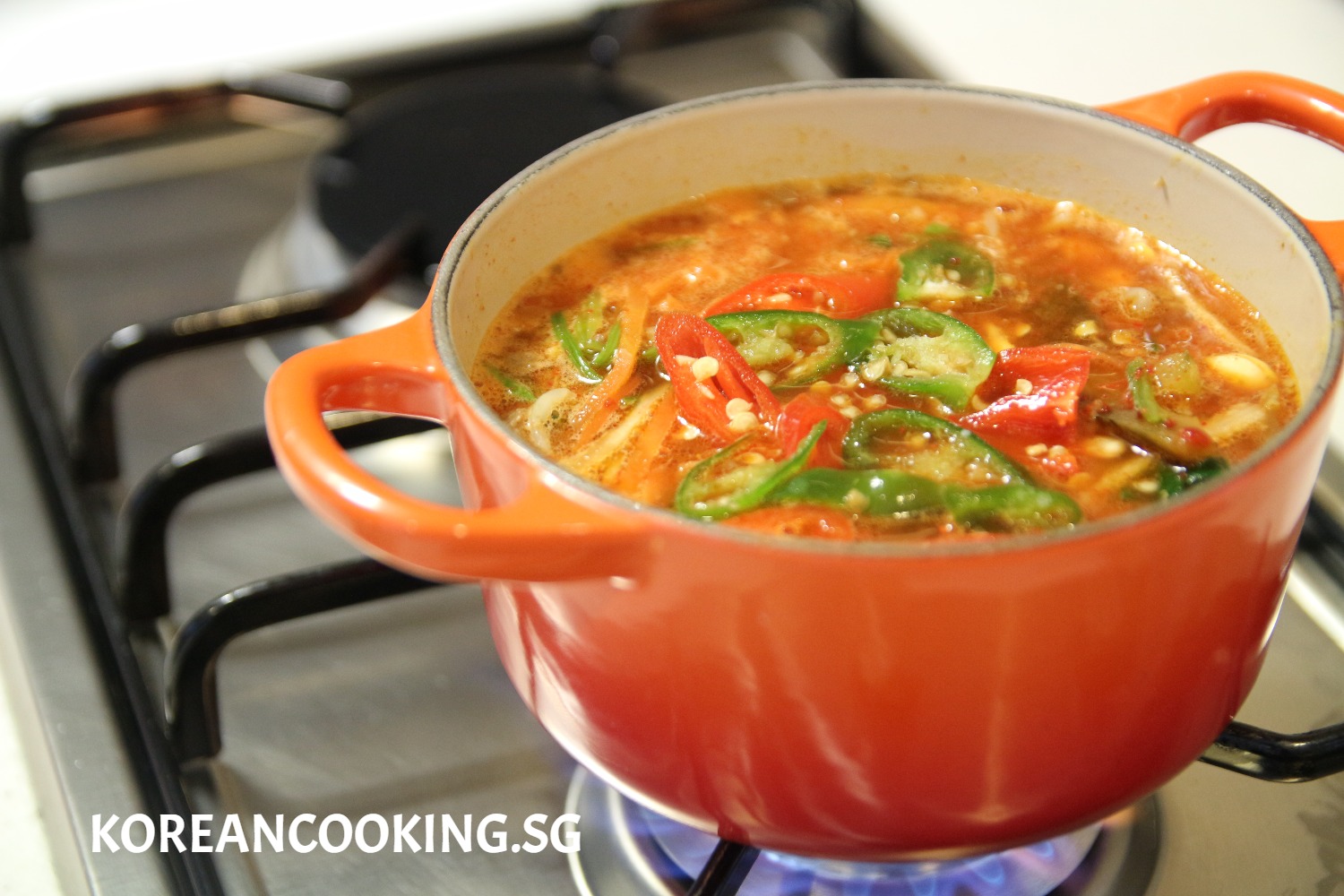 Yukgaejang (?????)(???) Korean Cooking SG