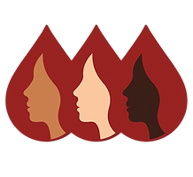 (Transparent Background) HMB e-Module Logo.png