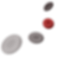 Reticulocyte RBC maturation.png