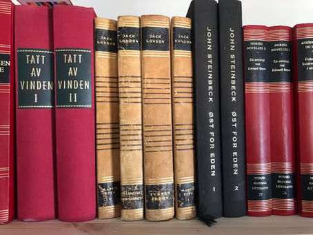 Vanvittig lite bokomtaler i Vesterålen