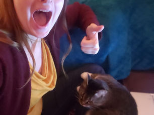 Cats