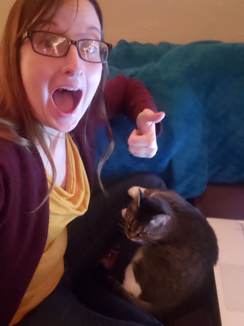 Cats