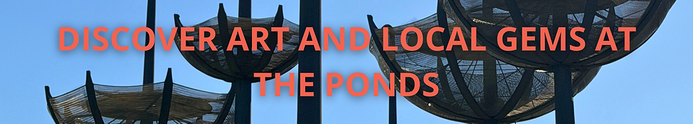 Discover Art and Local Gems at The Ponds.png