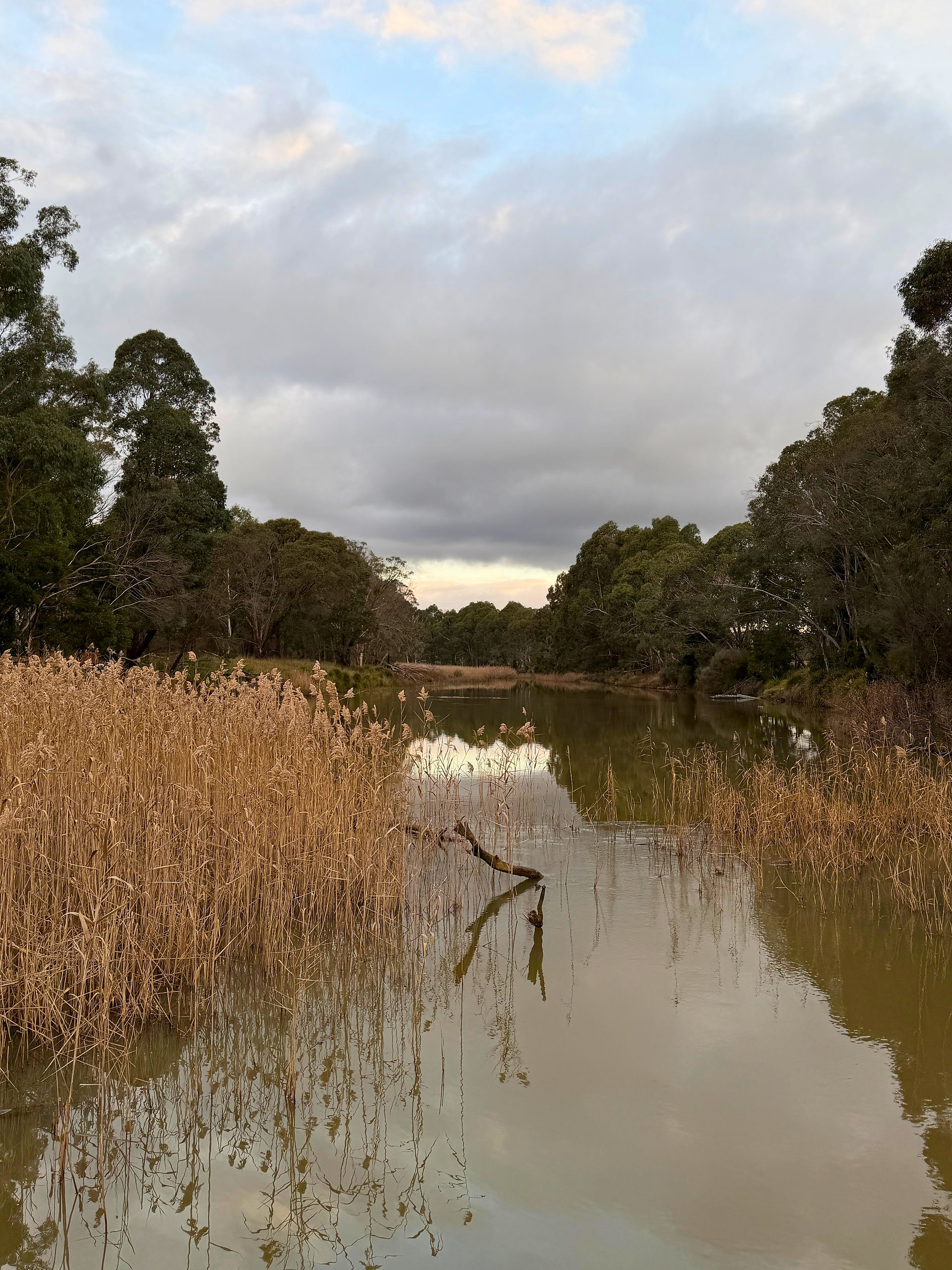 Wingecarribee River, Southern Highlands