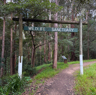 Balaka Falls Circuit in Hunts Creek Reserve, Carlingford