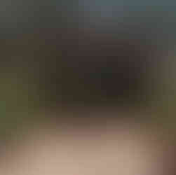 Elizabeth Farm, Rosehill