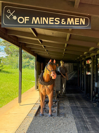 The Wollondilly Heritage Centre & Museum, The Oaks