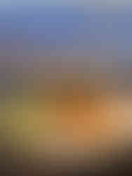 The Camellia Hotel, Rosehill