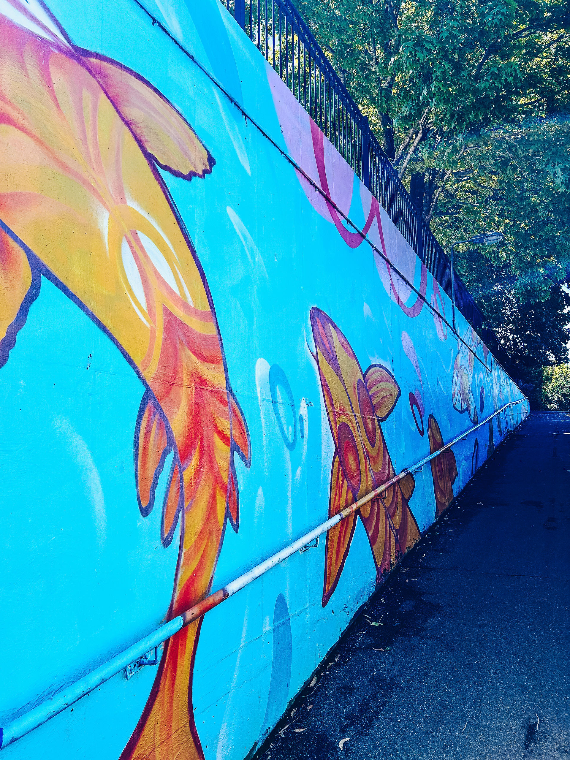 fish coloured mural