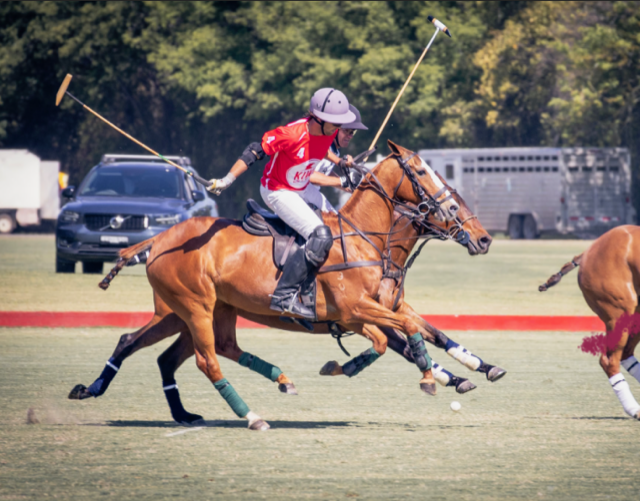 Windsor Polo Club, Polo in the Hawkesbury