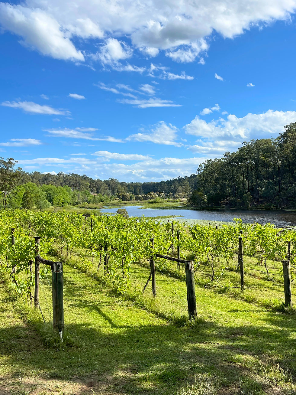 The Hawkesbury has a certain magic to it, and a day out in Ebenezer is one of the very best kind.