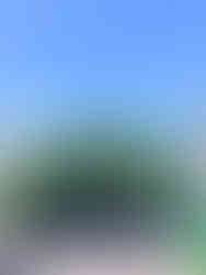 Eastwood Rowe Street Plaza