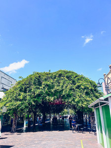 Eastwood Rowe Street Plaza