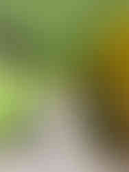 Elizabeth Farm, Rosehill