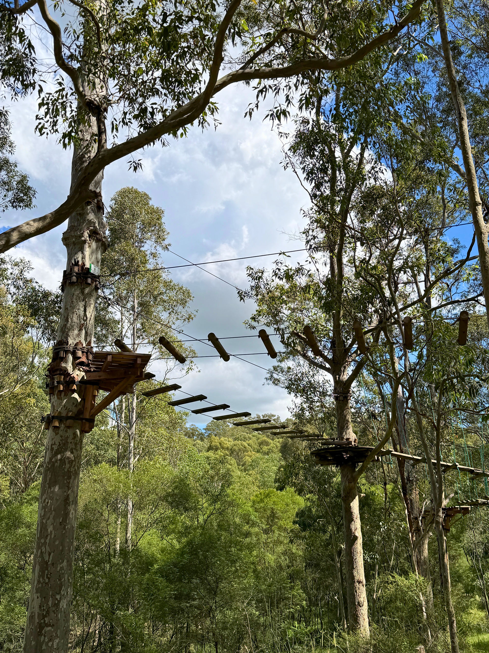 Treetops Adventure, Western Sydney Parklands, Abbotsbury