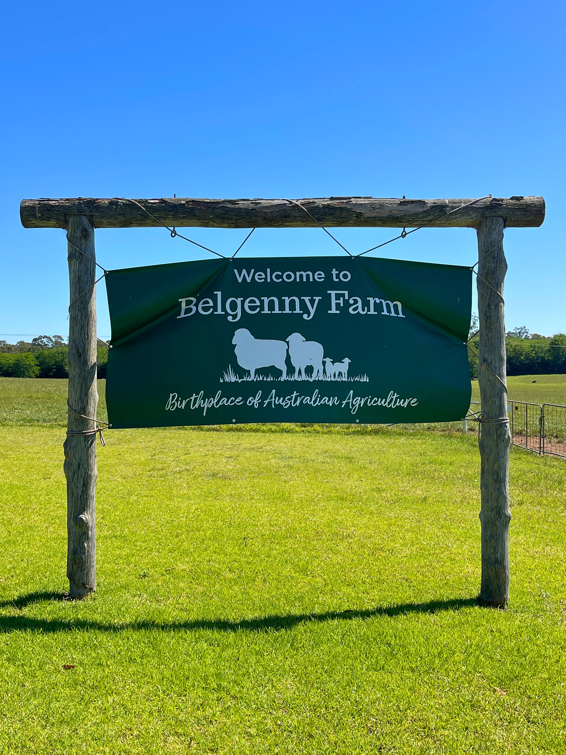 Belgenny Farm, Camden South