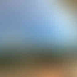 Rosehill Gardens Racecourse, Rosehill