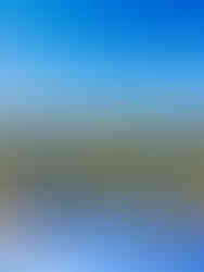 Trophies for the countess of dudley cup in polo, NSW