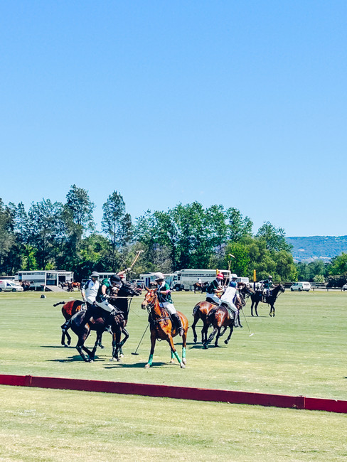 Game of polo, Hawkesbury
