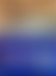 For a suburb considered mid-size, there is a surprising amount of fun packed in to experience in Glenwood. From bargain shopping to historical sightseeing, outdoor exploration and food, glorious food. Residing on Dharug land, a day out in makes for a feel-good outing for your next local adventure.