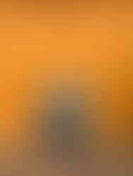 Elizabeth Farm, Rosehill