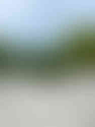 Chang Lai Yuan Chinese Gardens, Nurragingy Reserve, Western Sydney Parklands