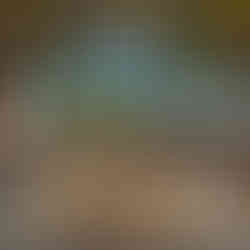 Bobby Bakehouse, The Gables