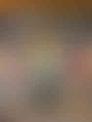 Belgenny Farm, Camden South