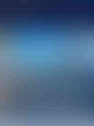 chinese design on fence eastwood