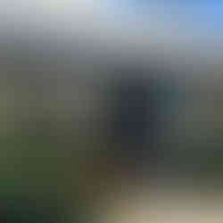 Diaz-Stein The Gallery, Mount Victoria