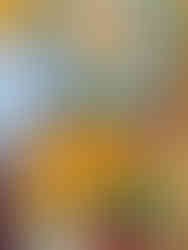 fish and chips Umina