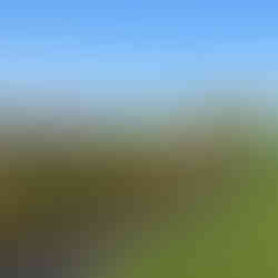 Rosehill Gardens Racecourse, Rosehill