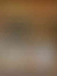 Goliath Coffee, Goliath Coffee Roasters Brew Bar, The Horsley Drive