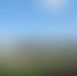 Rosehill Gardens Racecourse, Rosehill