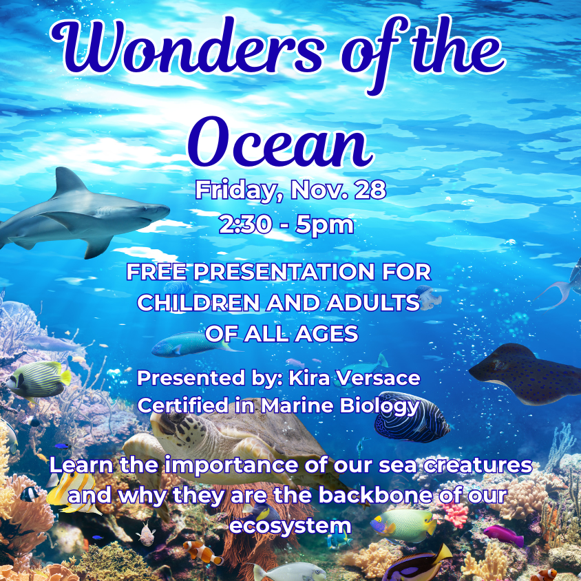 Wonders of the Ocean